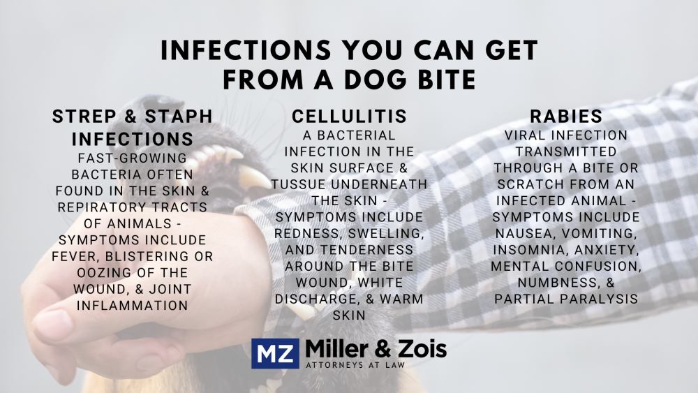 Infections You Can Get from a Dog Bite and Case Settlement Value